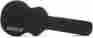 0996409000 Gretsch 6299 Short-scale Hollowbody Bass Case Open Box