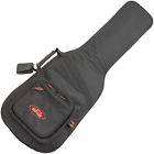 1skb-gb66 1skb-30 Skb 1-30 Classic Hard Guitar