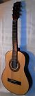 2006 Washburn Little Lyon Acoustic