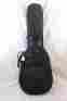 301-59-19 Reunion Blues Electric Bass Gig Bag Ceb 879233000565