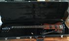 440865 Unbranded Electric Guitar Case Hard Pick Sampler Traveling 0648038440865