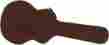 Gw-335-brown 5-pack Gator Deluxe Wood Case Semi-hollowbody Electric Guita Value Bundle 716408506500
