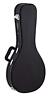 840553025156 Ortega Guitars Style Mandolin Economy Hardshell Mm Velvet