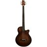 Afb24ec-fmsv Sawtooth Rudy Sarzo Fretless Acoustic Electric Bass Ebony Board Satin