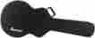 As100c Ibanez As Series 5-pack Value Bundle 606559220021