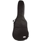 Cg-160 Cg162 Golden Gate Acoustic Guitars 688382001800