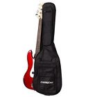 Chromacast Cc-epb-bag Durable Mini Jumbo