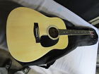 Dag-5n Eleca Acoustic Guitar Model
