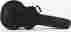 0996414000 G6244case Gretsch G6244 Synch Rancher A3047 717669193409