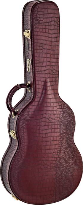 Ortega Guitars 840553025231 Occpro-t Classical Thinline Deluxe Case Bronze Arch Top
