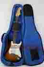 Rbg1 Reunion Blues Continental Voyager Electric Guitar Case