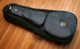 Cb347 Remix Acoustic Soft Padded Guitar Case