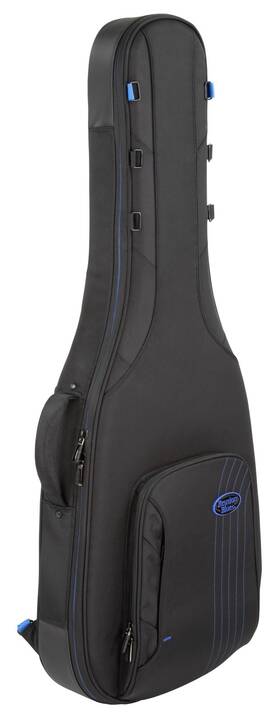 Rbc23sh Reunion Blues Expedition Semi-hollow Electric Guitar Gig Bag Black
