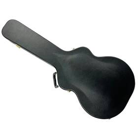 Agm17-a Stadium Semi-hollow Thinline Electric Guitar Replacement Hardshell Case 17 Inch - Bl