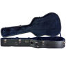 8801 Tkl Resonator Prestige Case 645813067798