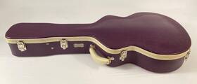 Ooak-035 Tkl Cedar Creek Custom Shop Faux Alligator Grand Auditorium Case