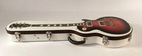 Ooak-046 Tkl Cedar Creek Les Paul Case With Graphic Image Made In Usa