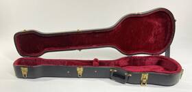 Ooak-084 Tkl Harptone Vintage Beatle Bass Case Made In Usa