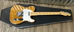 Fender Telecaster *made Mexico* With Coffin Case. Fixed Price $749.99.