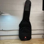 Road Runner Gig Guitar Bag RR1EB. Fixed Price $30.99.