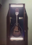 Violin Display Case Ukulele Fiddle Mandolin Led Black Wood Cabinet Wall Holder. Fixed Price $269.88.