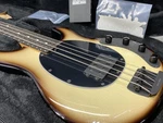 Ernie Ball Music Man Stingray Special H Electric Bass Guitar - Brulee. Fixed Price $1912.97.