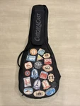 Chromacast World Tour Graphic Padded Gig Bag. Fixed Price $14.00.
