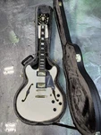 D'angelico Excel Dc Sp Semi-hollow Electric Guitar W/original Case White. Fixed Price $799.99.