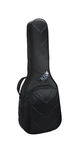 Reunion Blues RBX335 Semi-hollow Electric Guitar Bag. Fixed Price $237.39.