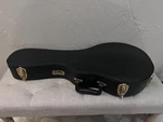 Tkl World-class F-style Mandolin Hard Case!. Fixed Price $65.00.