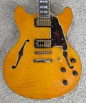 D'angelico Excel Semi Hollow Guitar W/case, Vintage Natural, Daedcvnatgs. Fixed Price $1495.00.