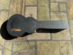 D'angelico Excel Electric EXL-1 & 59 Hard Case Black Only Used Grey Inside. Fixed Price $349.99.