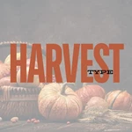 Harvest Type Fragrance Oil For Body Candles Soap Lotion Diffusers & Warners. Fixed Price $100.59.