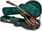 Crossrock F-style Mandolin Hardshell Case, Vintage Hardware,sponge Lining, Black. Fixed Price $85.49.