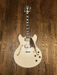 D'angelico Premier Dc Guitar Champagne With Gig Bag. Fixed Price $559.00.