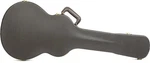 Taylor Deluxe T5Z Hardshell Case. Fixed Price $499.00.
