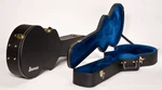 Ibanez AG100C Hardshell Case (ag And Ags Guitars). Fixed Price $169.99.