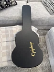 Epiphone Gibson Sg Case Free Shipping. Fixed Price $149.00.