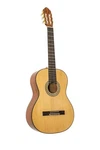 Peavey CNS1 Classical Nylon String Guitar. Fixed Price $199.99.