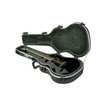 1SKB-30 Thin-line Acoustic Electric Classical Deluxe Case 789270003071. Fixed Price $234.99.