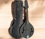 Stagg M50-E Premium Style Bluegrass Acoustic Electric Mandolin Black + Gig Bag. Fixed Price $189.99.