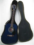Stagg Handmade Western Acoustic Guitar SW205TB W/case Missing Strings. Fixed Price $253.87.