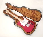 Douglas Case For Stratocaster Also Fits Telecaster Rick 610 620 Coronet. Fixed Price $125.00.