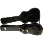 Ibanez AEG10C Hardshell Case For Guitars. Fixed Price $199.99.