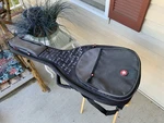 Road Runner Boulevard Ii Acoustic Guitar Gig Bag Dreadnought Preowned RR2AG. Fixed Price $29.99.