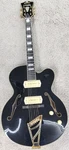 D'angelico Excel Hollowbody Electric Guitar W/case, Black DAEX59BLK B-stock. Fixed Price $1195.00.