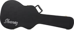 Ibanez AEG10C Hardshell Acoustic Guitar Case - Series. Fixed Price $199.99.