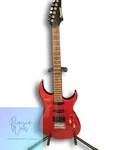 Fernandes Fgz Guitar With Stand *heavy Wear. Fixed Price $234.39.