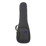 Reunion Blues Rbc Expedition Electric Guitar Case. Fixed Price $287.04.