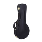 Crossrock Deluxe Wood Hard F-style Mandolin Case,guitar. Fixed Price $109.99.